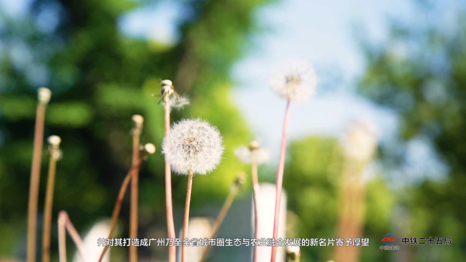 廣州環(huán)保企業(yè)三維動(dòng)畫(huà)制作經(jīng)驗(yàn)豐富公司