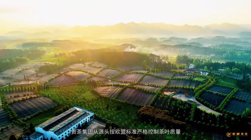創(chuàng)意廣告宣傳片制作多少錢？
