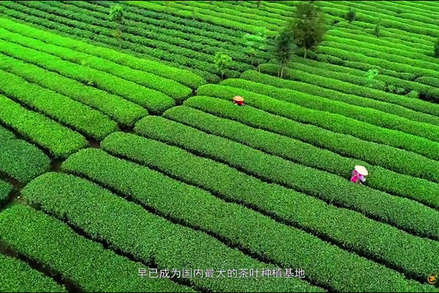 品牌宣傳片重點(diǎn)在于品牌，廣州宣傳片制作
